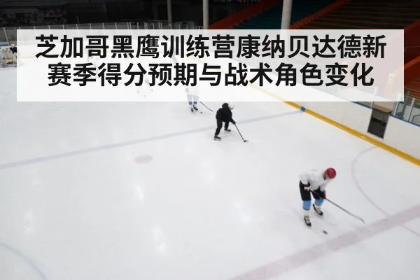 芝加哥黑鹰训练营康纳贝达德新赛季得分预期与战术角色变化