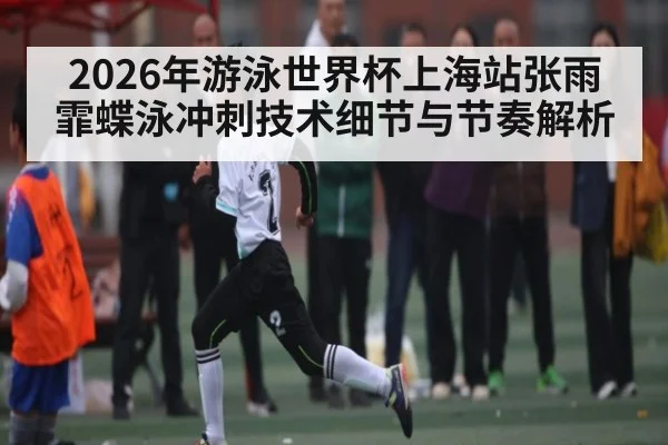 2026年游泳世界杯上海站张雨霏蝶泳冲刺技术细节与节奏解析